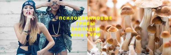 дурь Гусев