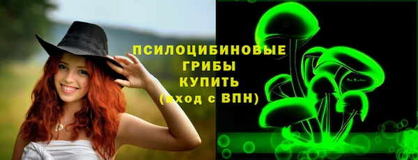 метадон Гусиноозёрск