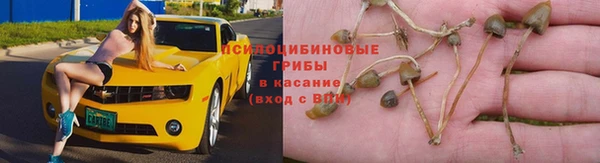 метадон Гусиноозёрск