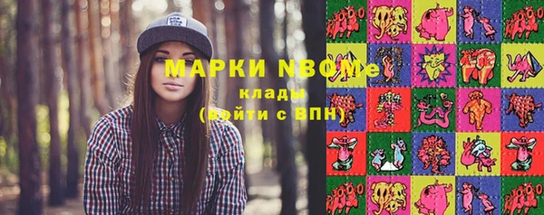 дурь Гусев