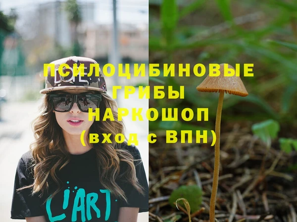 метадон Гусиноозёрск