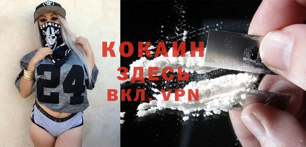 дурь Гусев