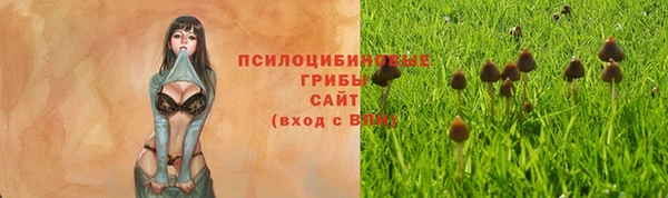 ALPHA PVP Гусь-Хрустальный