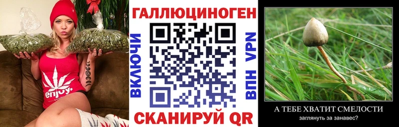 Купить  Балей  Галлюциногенные грибы Magic Shrooms 